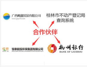 計(jì)算機(jī)科技綜合服務(wù) 從開(kāi)發(fā)到集成與安全的全面解決方案